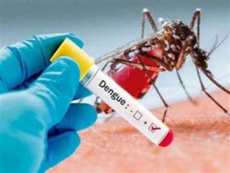 dengue in bilaspur e0a4ace0a4bfe0a4b2e0a4bee0a4b8e0a4aae0a581e0a4b0 e0a4aee0a587e0a482 e0a4a1e0a587e0a482e0a497e0a582 e0a495e0a4be e0a4ac 617d37b40ab9f