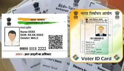 995564 voter