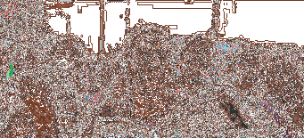 Untitled 11