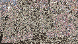 Untitled 13