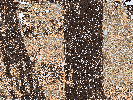 Untitled 8
