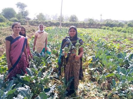 बाड़ियों में ब्रोकली भी एनजीजीबी के माध्यम से ग्लोबलाइजेशन की देन फसलें पहुंची गांवों में भी 5