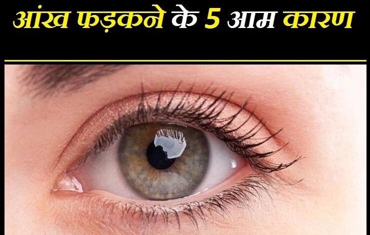 WhatsApp Image 2024 01 04 at 07.40.46 07684d68
