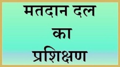 WhatsApp Image 2024 03 30 at 20 20 27 cd32817a