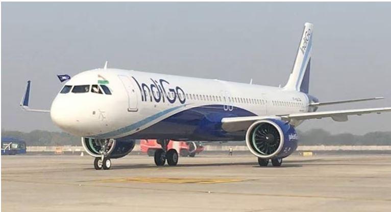indigo