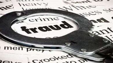 fraud 2