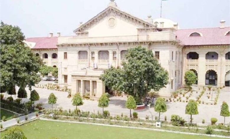 haghi cortt