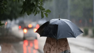 weather 1