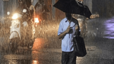 weather 4