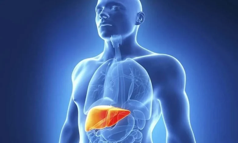 Fatty Liver 5