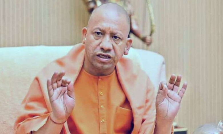 yogi 2